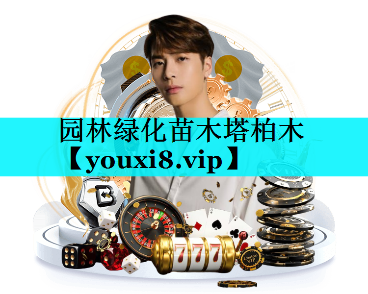 园林绿化苗木塔柏木