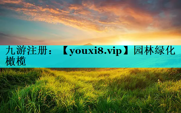 园林绿化橄榄