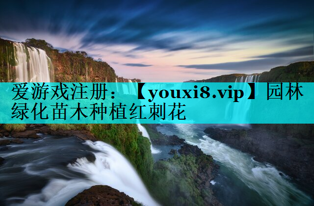 园林绿化苗木种植红刺花