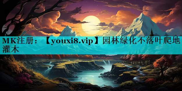 园林绿化不落叶爬地灌木