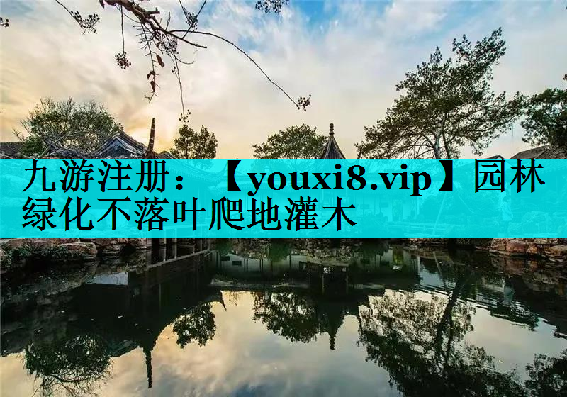 园林绿化不落叶爬地灌木
