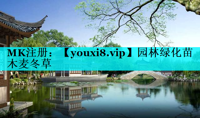园林绿化苗木麦冬草