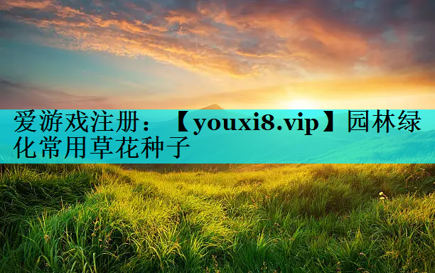 园林绿化常用草花种子