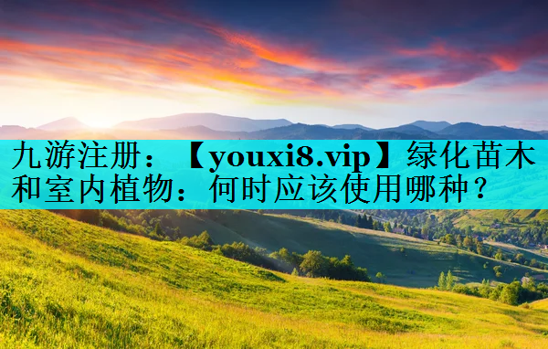绿化苗木和室内植物：何时应该使用哪种？